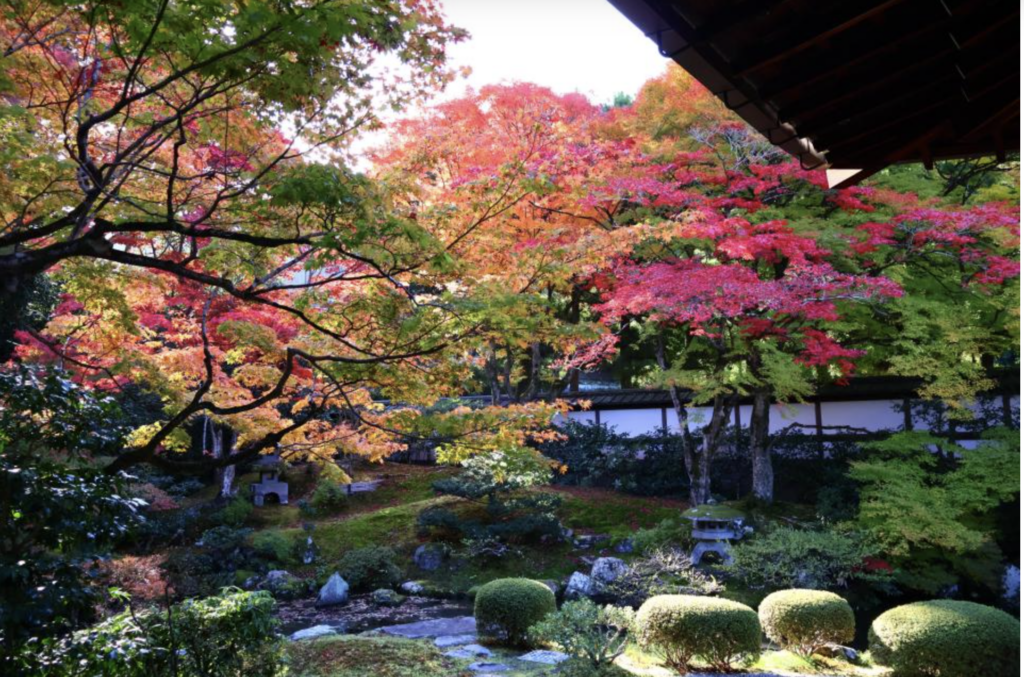 泉涌寺