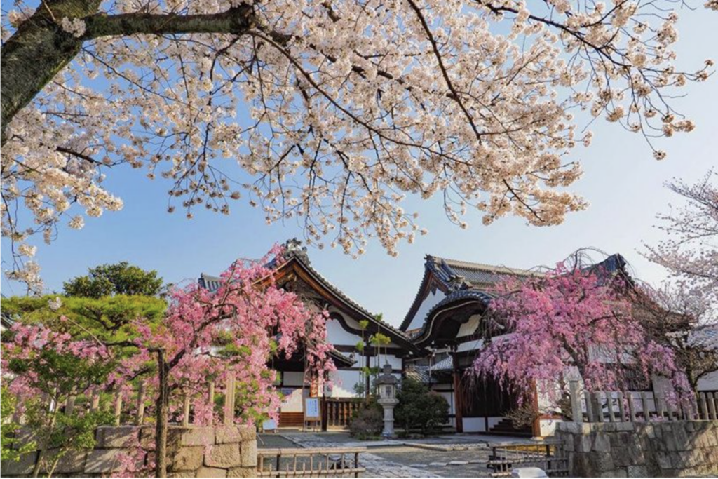 妙顕寺